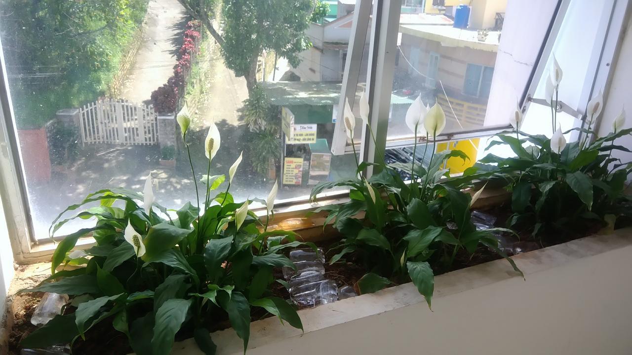 A Dong Hotel Đà Lạt Ngoại thất bức ảnh
